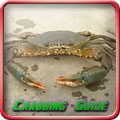 Crabbing Guide